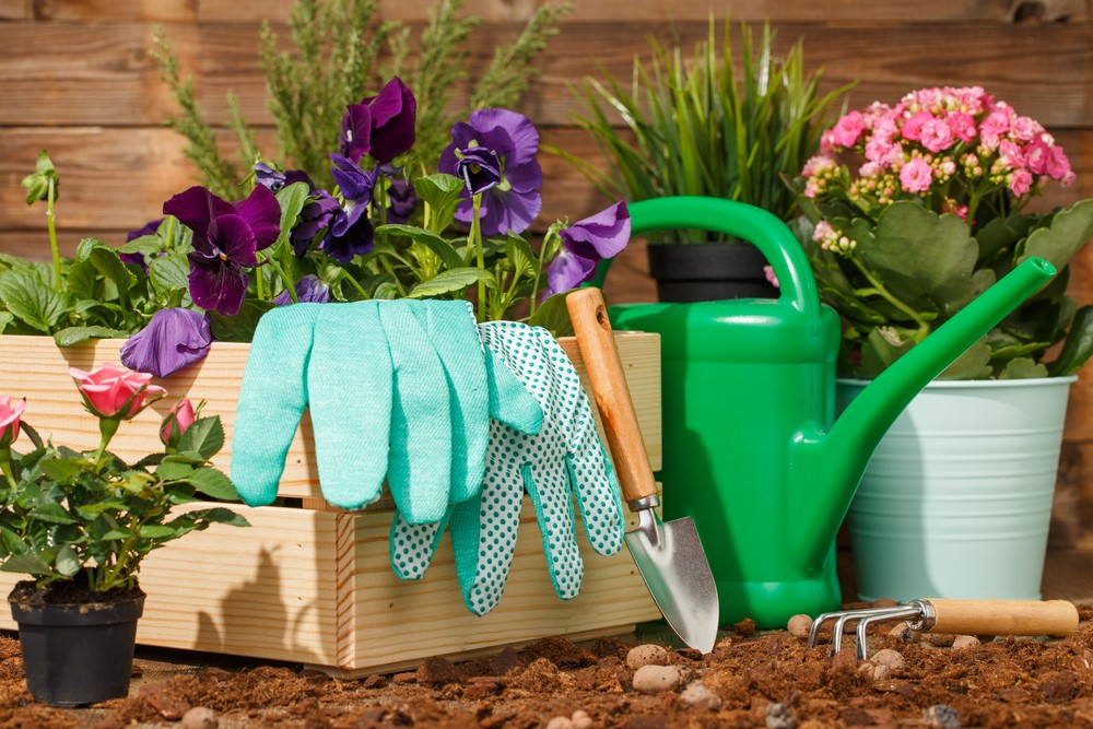 Gardening and Composting Showcase